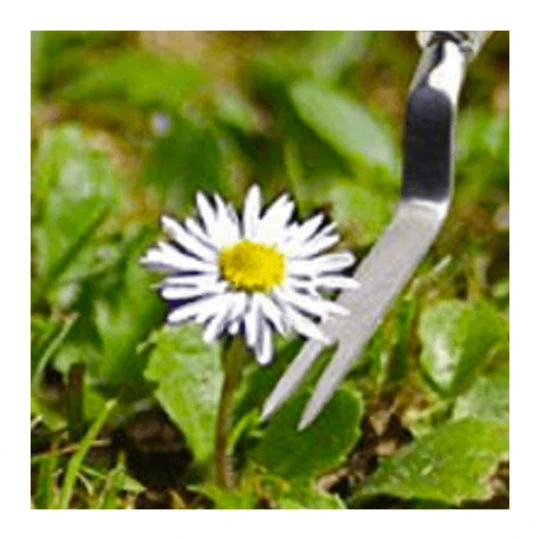 ECOstyle Aaltjes Tegen Larven Fruitmot 4 ECOstyle Aaltjes Tegen Larven Fruitmot - Afbeelding 2