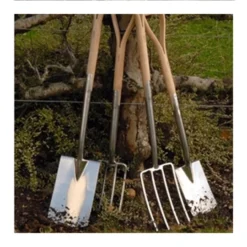 MRS Seeds & Mixtures Margrietenmengsel 2 - Inheems Natuur