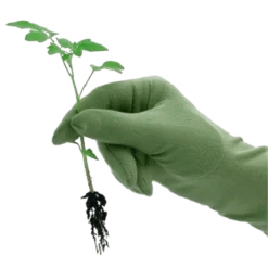 De Wiltfang Foxgloves Original