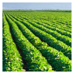 Earthway Multifunctionele Strooiwagen F80PSD (100% RVS)