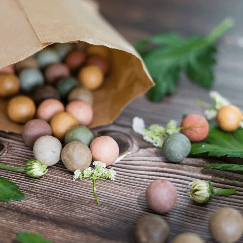 Exporteren Boom Genot Winkel -Exporteren Boom Genot Winkel 5